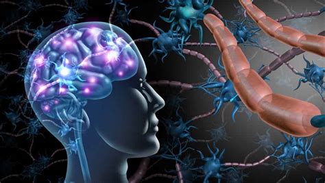 Danni neurologici dovuti a meningoencefalite