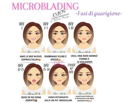 Schema del processo di guarigione e ritocco del microblading