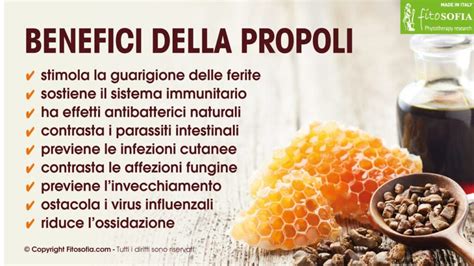 Schema delle proprietà della propoli
