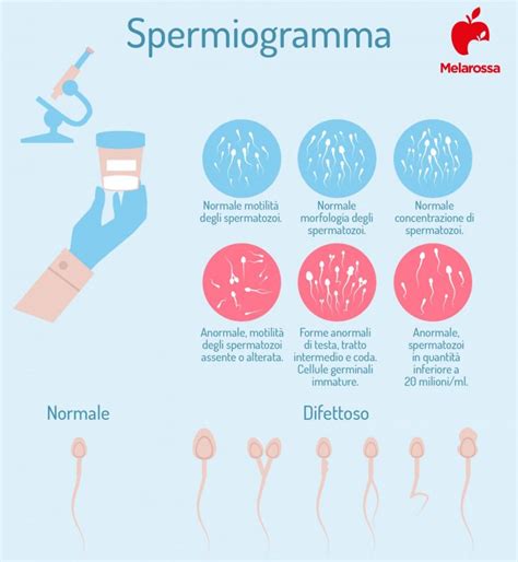 Differenza tra liquido preseminale e sperma