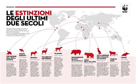 Grafico sull'estinzione delle specie