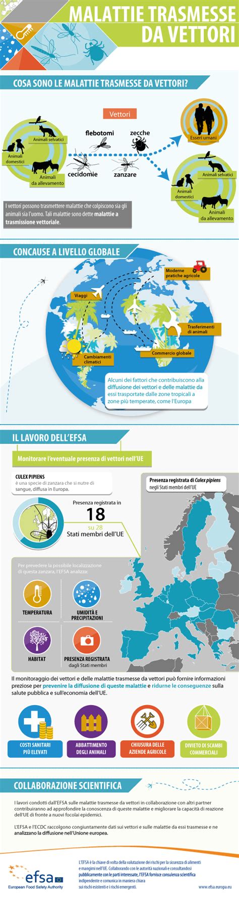 Infografica sulle malattie trasmesse da animali