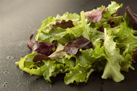 Scarola cruda e cotta