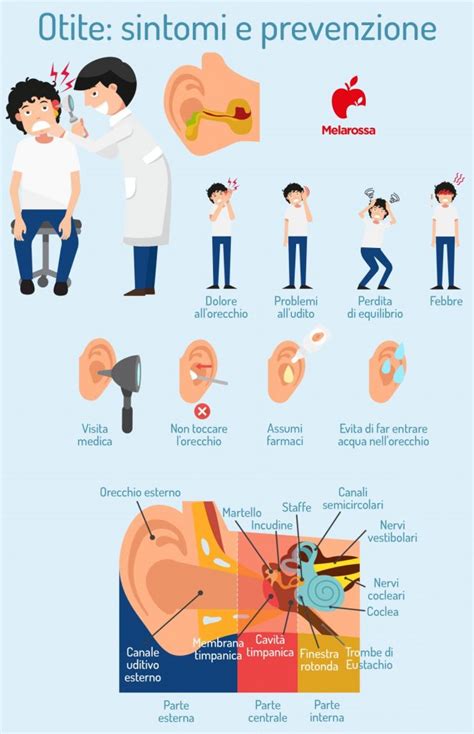 illustrazione dei sintomi dell'otite esterna: dolore al tocco, arrossamento e gonfiore del condotto