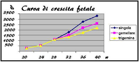 Grafico che illustra le principali complicazioni per madre e feti in gravidanza gemellare
