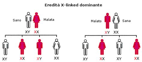 Albero genealogico che illustra la trasmissione ereditaria dell'emofilia legata al cromosoma X.