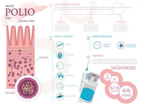 Composizione del vaccino Triaxis Polio