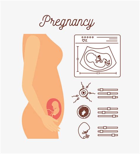 illustrazione stilizzata del corpo femminile in gravidanza con icone che rappresentano il benessere