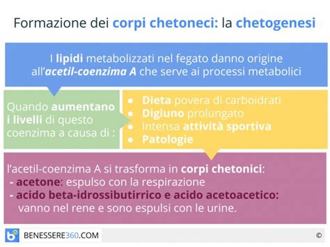 schema riassuntivo: cause di corpi chetonici nelle urine e raccomandazioni