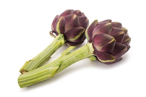 Carciofi freschi