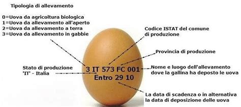 Etichetta delle uova spiegata: cosa significano i codici