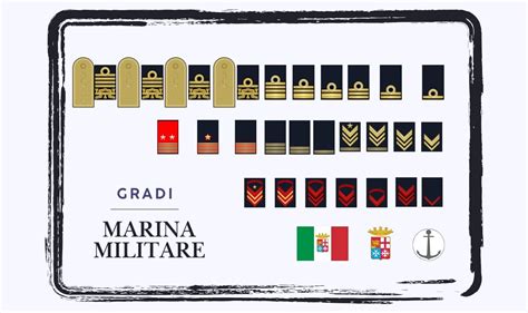 infografica che mostra i diversi gradi di classificazione embrionale da A a D