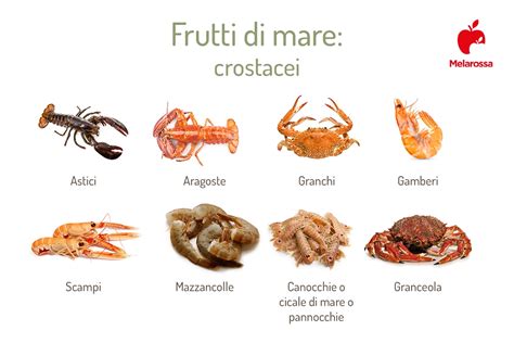 Illustrazione schematica della corretta cottura dei crostacei
