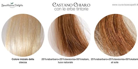 Varietà di erbe tintorie e il loro effetto sui capelli