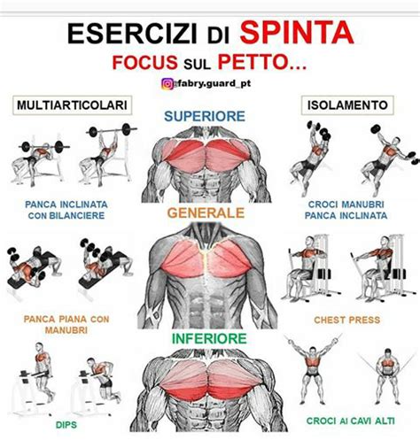 Esercizi per il petto e il décolleté