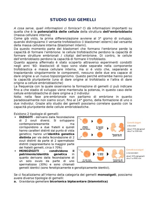 Rappresentazione grafica degli studi 