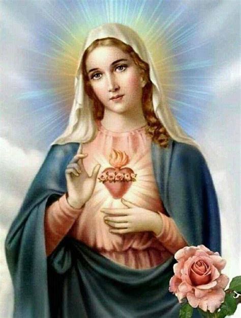 rappresentazione artistica del Cuore Immacolato di Maria circondato da luce e rose