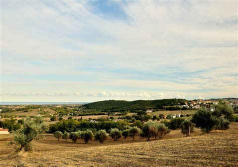 Panorama della Valle d'Itria da Locorotondo