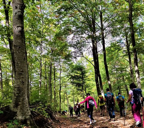 Famiglia che fa trekking nel Bosco delle Pianelle