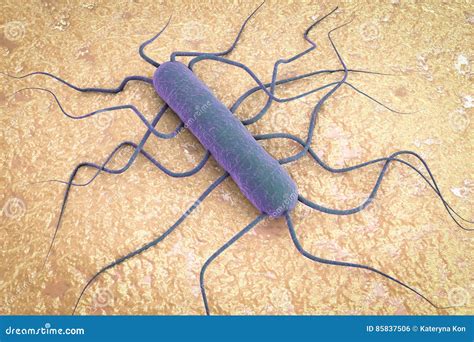 Illustrazione del batterio Listeria Monocytogenes