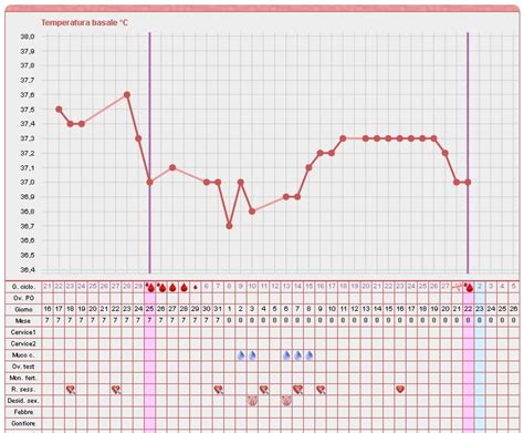 grafico che mostra l'aumento della temperatura basale e del picco LH