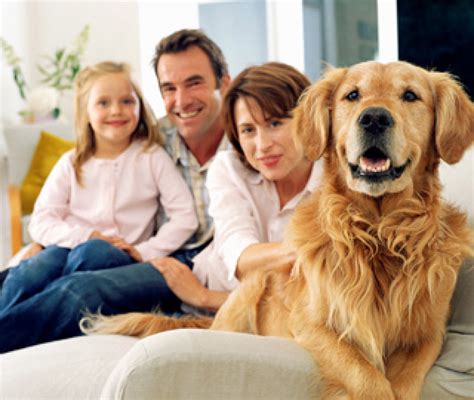 Famiglia con cane e bambino