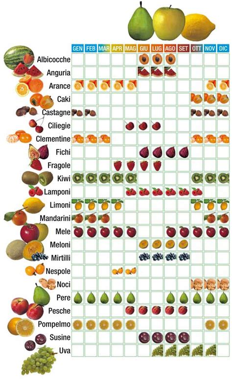 Tavola comparativa delle dimensioni fetali nel secondo trimestre con frutta e verdura