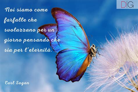 Bambino sconosciuto e farfalle in volo
