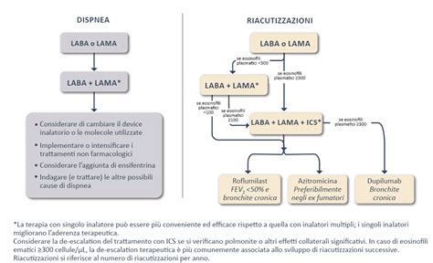 Schema del metodo farmacologico per l'aborto