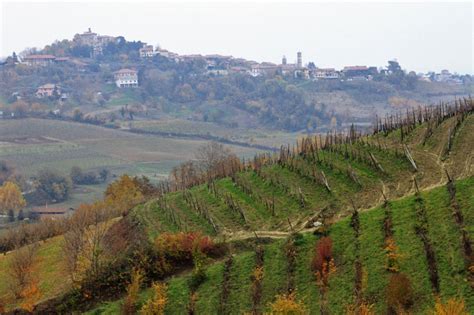 paesaggio rurale tra vigneti e colline veronesi