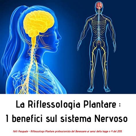 rappresentazione stilizzata del sistema nervoso e delle reazioni fisiche allo stress