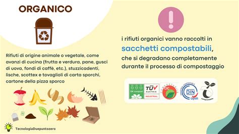 infografica che illustra in modo semplice i passaggi per la corretta raccolta dei campioni biologici