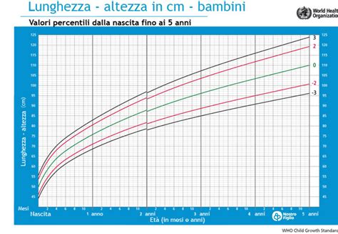 Diagramma della crescita del bambino e adattabilità della vaschetta