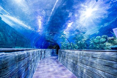 Acquario Nazionale di Malta a Qawra
