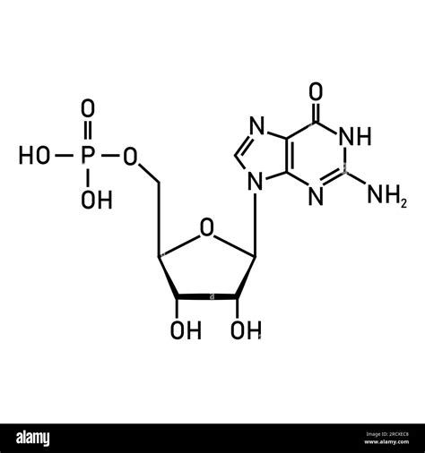 Struttura chimica dell'amoxicillina