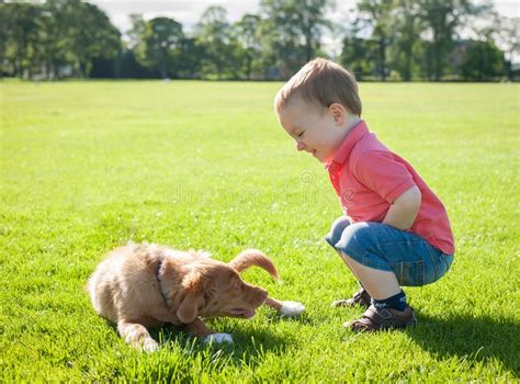 bambino che gioca in un prato estivo