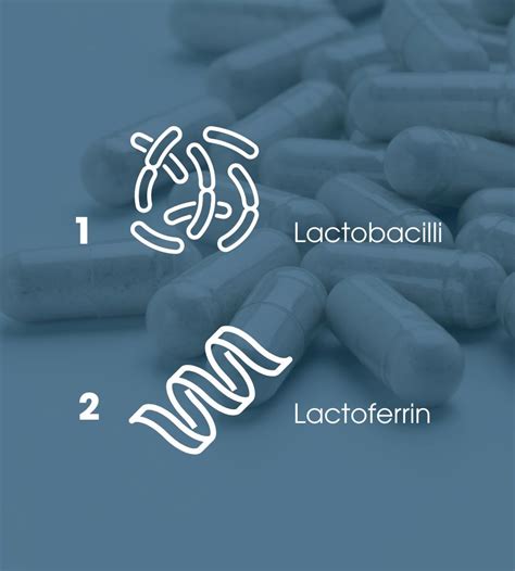infografica che mostra la varietà di ceppi di lattobacilli inclusi nella formulazione di Floragyn