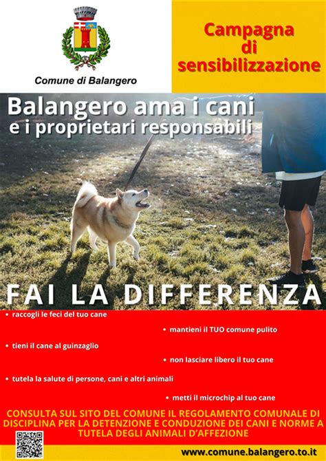 Campagna di sensibilizzazione per la protezione degli agnelli