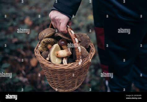 Primo piano su un cesto di vimini pieno di oggetti naturali sicuri per bambini