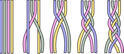 schema grafico treccia francese