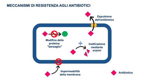 Grafico sulla crescente resistenza agli antibiotici