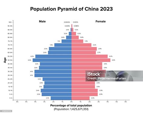Piramide demografica cinese attuale e proiezioni future