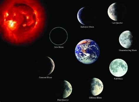 Diagramma fasi lunari che mostra Luna Nuova, Crescente, Piena, Calante