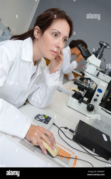 Ricercatore che analizza dati sulla crescita fungina