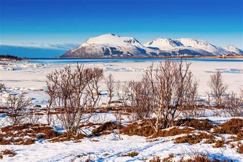 Paesaggio della tundra nella regione della Peciora