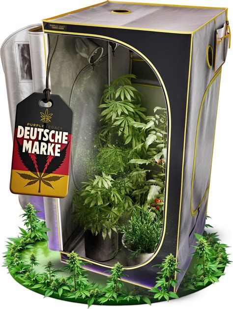 Schema di una grow box per la coltivazione domestica