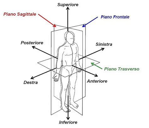 Diagramma della sezione trasversale a cassetta della valle del Ticino