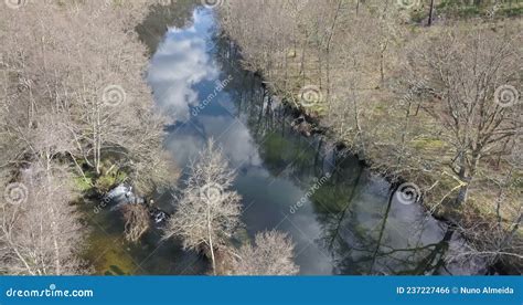 Paesaggio fluviale del Ticino con vegetazione riparia e fauna locale