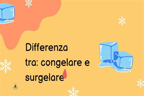 diagramma comparativo che mostra la differenza tra congelamento lento e vitrificazione a livello cellulare