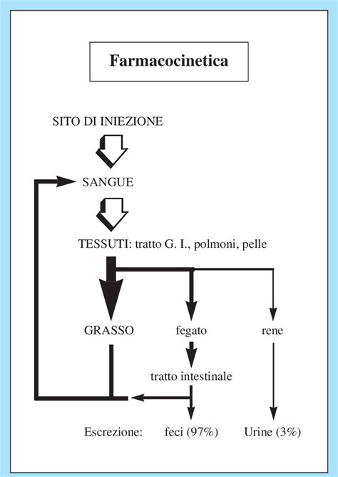 Rappresentazione della farmacocinetica